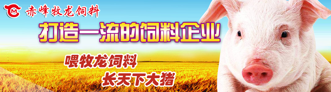 招投標(biāo)精選推送